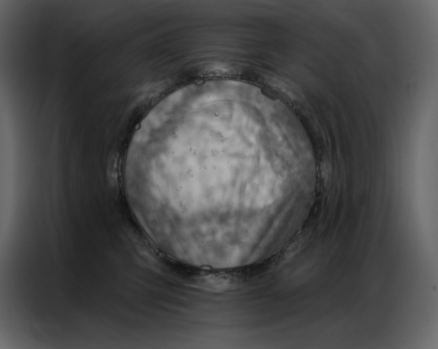 X0000086980423200705071420