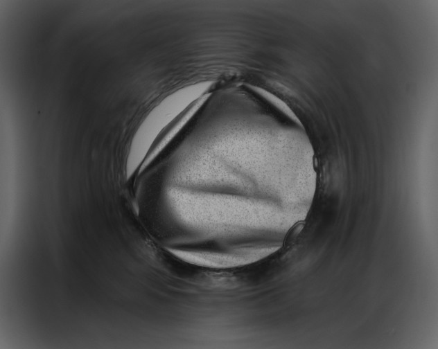 X0000086980424200705071420