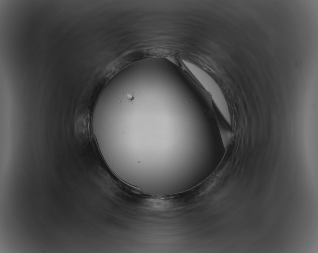 X0000086980425200705071420