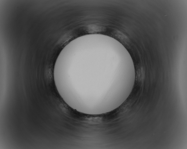 X0000086980426200705071420