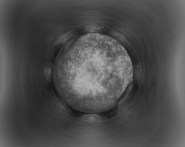 X0000086980427200705071420