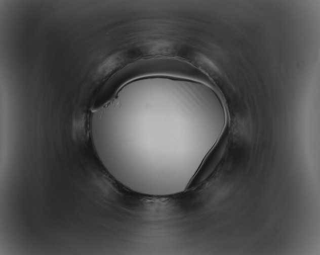 X0000086980428200705071420