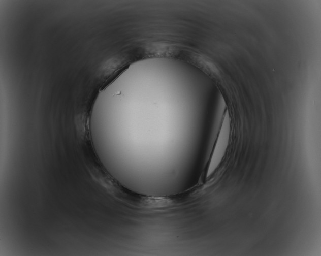 X0000086980429200705071420