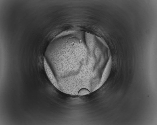 X0000086980430200705071420