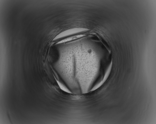 X0000086980432200705071420