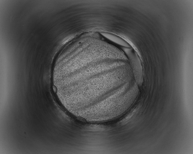 X0000086980437200705071420