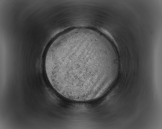 X0000086980439200705071420