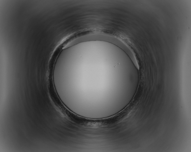 X0000086980440200705071420