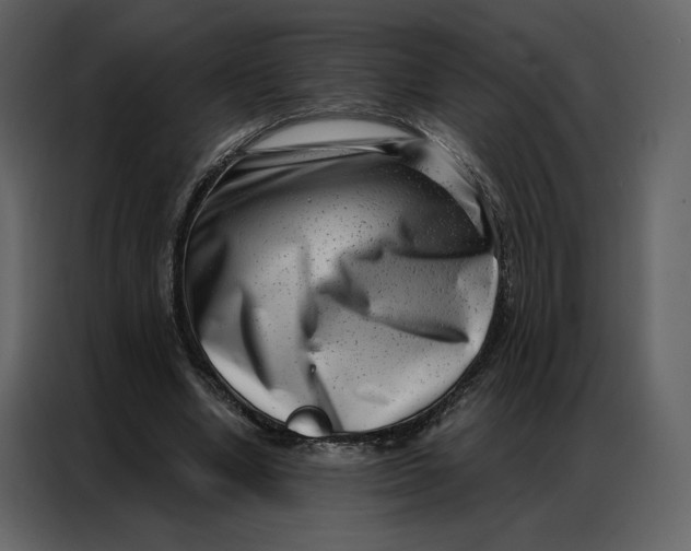 X0000086980442200705071420