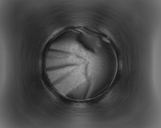 X0000086980444200705071420