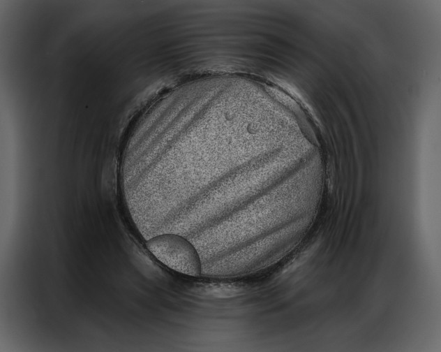 X0000086980445200705071420