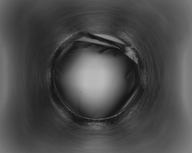 X0000086980448200705071420