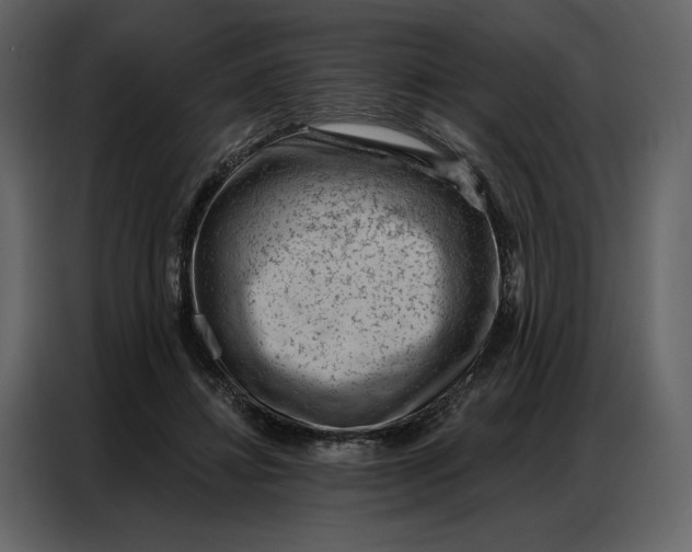 X0000086980452200705071420