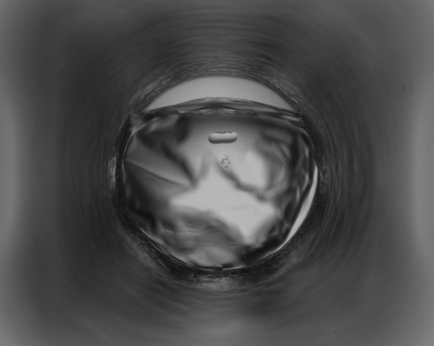 X0000086980454200705071420