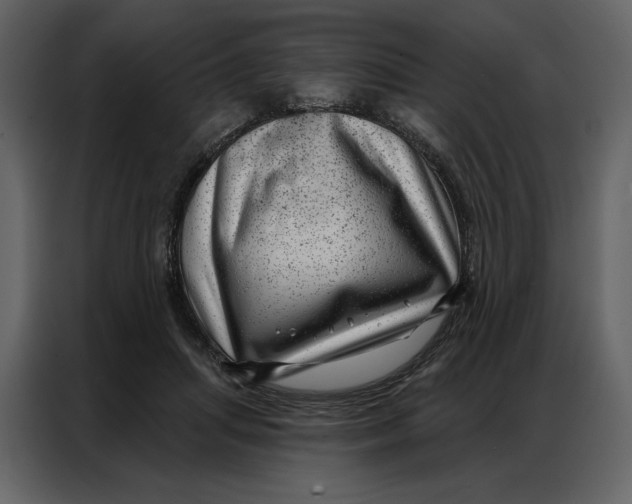 X0000086980455200705071420