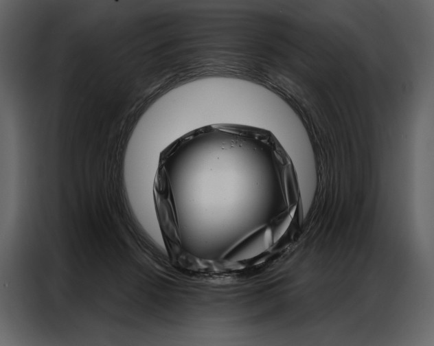 X0000086980456200705071420