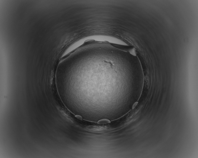 X0000086980458200705071420