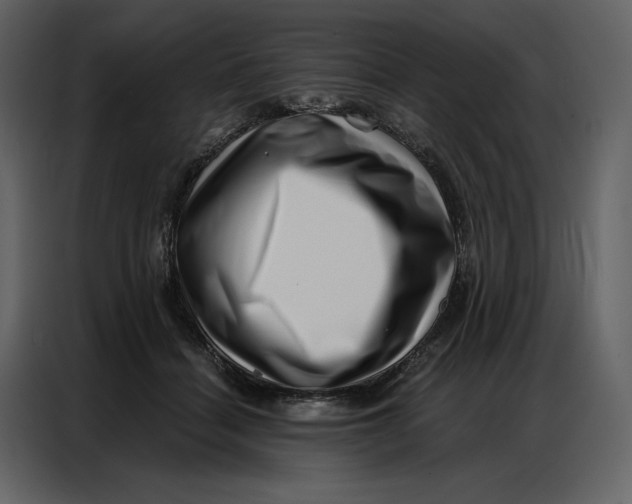 X0000086980460200705071420