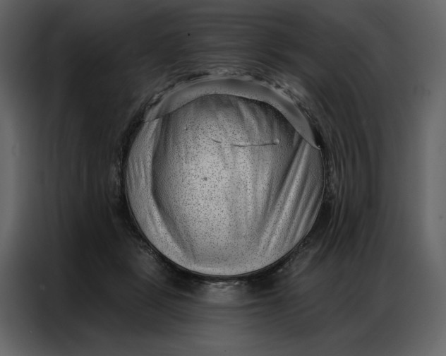 X0000086980461200705071420