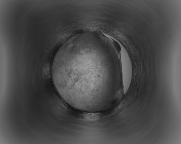 X0000086980465200705071420