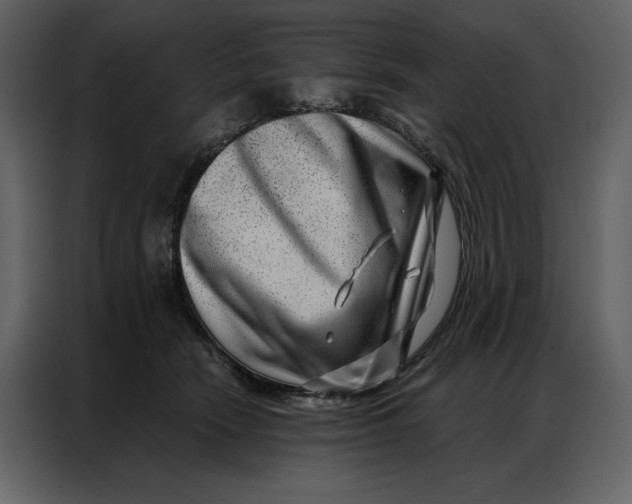 X0000086980466200705071420