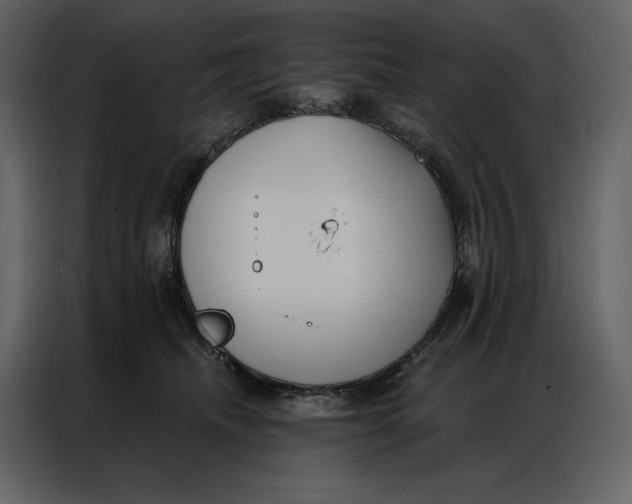 X0000086980468200705071420