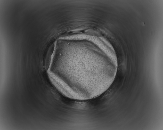 X0000086980469200705071420