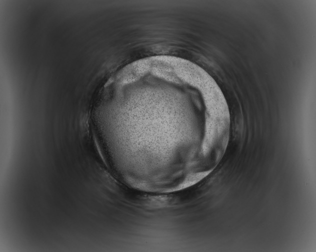 X0000086980473200705071420