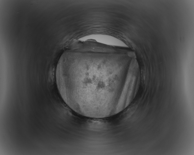 X0000086980475200705071420