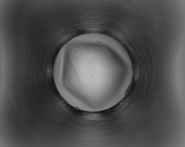 X0000086980476200705071420