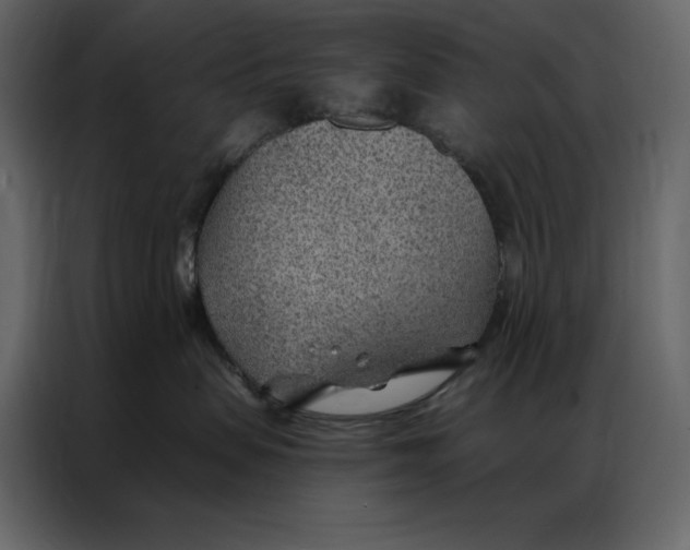 X0000086980479200705071420