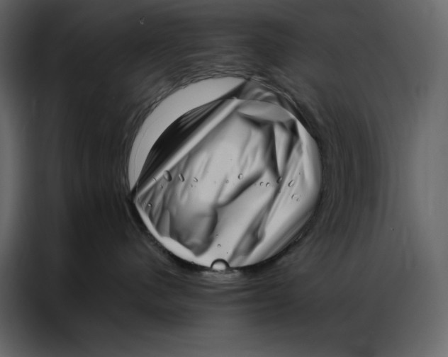 X0000086980480200705071420