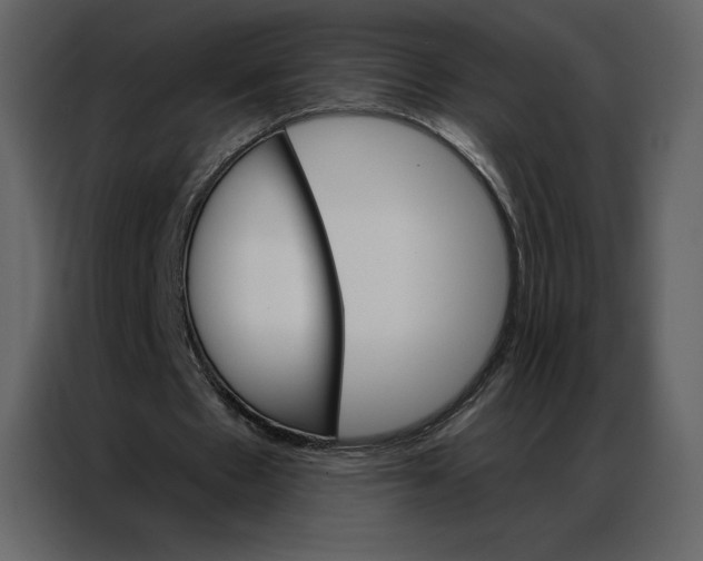 X0000086980481200705071420