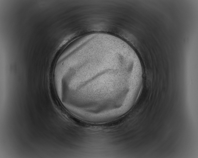 X0000086980482200705071420