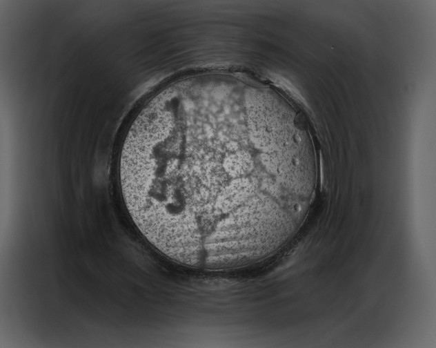 X0000086980483200705071420