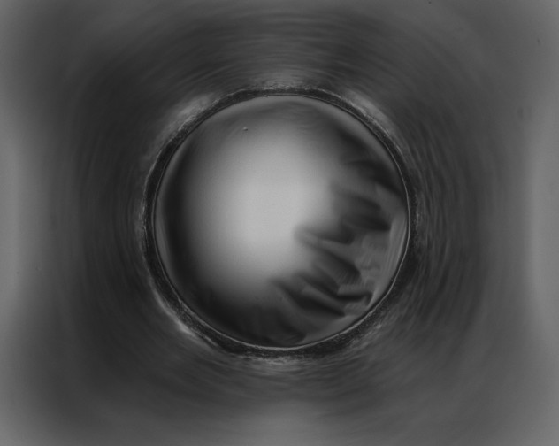 X0000086980485200705071420