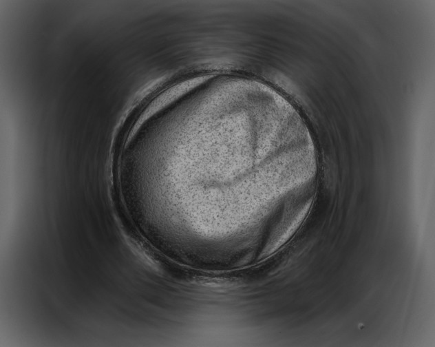 X0000086980486200705071420