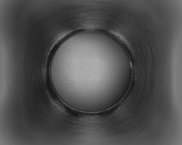 X0000086980488200705071420