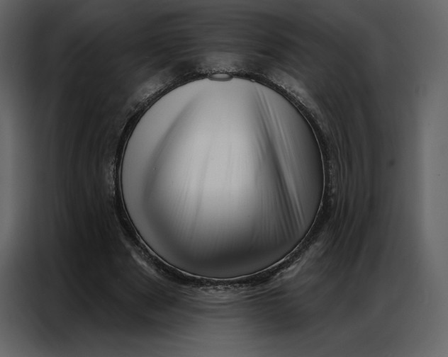 X0000086980489200705071420