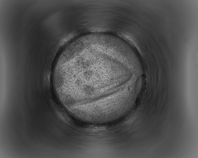 X0000086980491200705071419