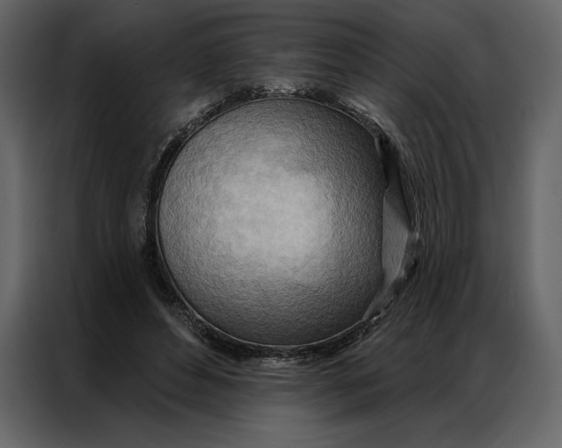 X0000086980496200705071419