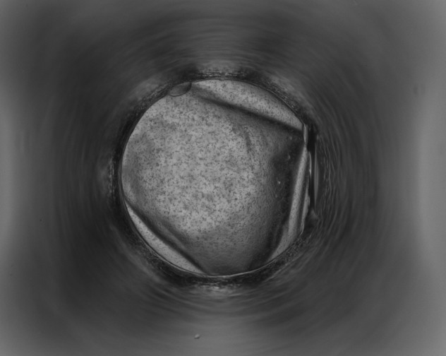 X0000086980498200705071419