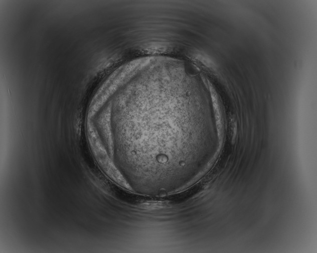 X0000086980499200705071419