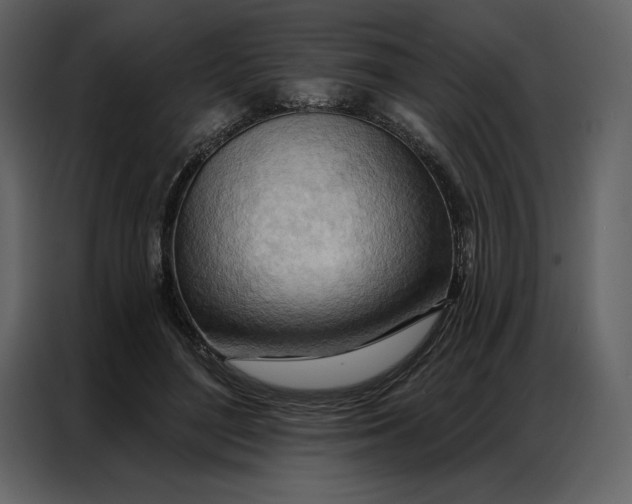 X0000086980500200705071419