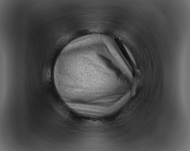 X0000086980502200705071419