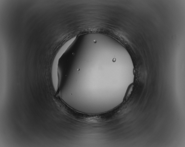 X0000086980505200705071419