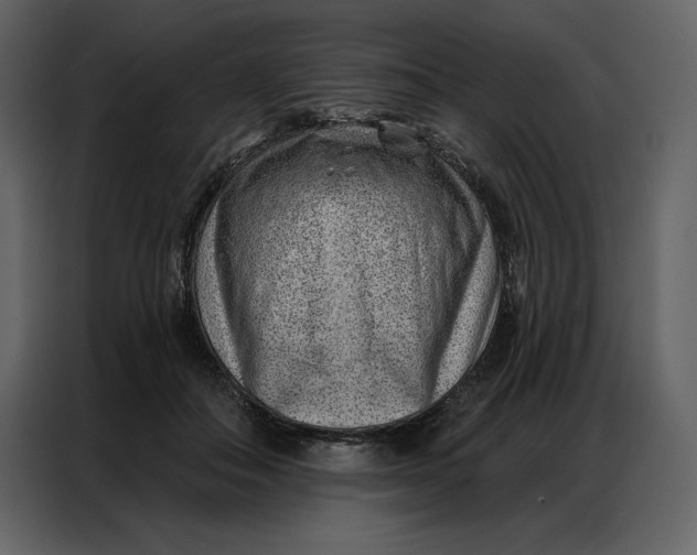 X0000086980506200705071419