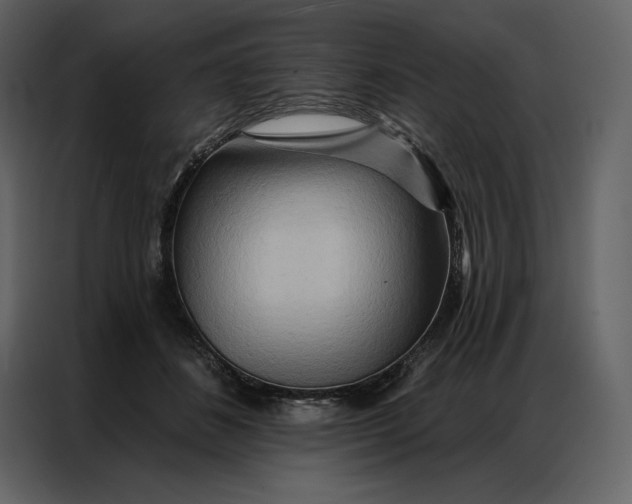 X0000086980508200705071419