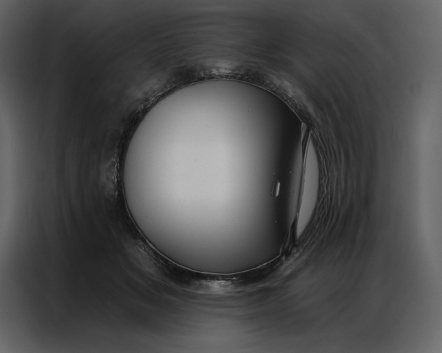 X0000086980509200705071419