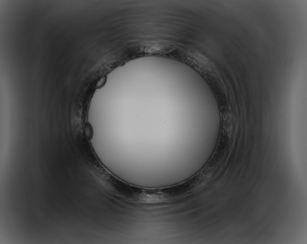 X0000086980510200705071419